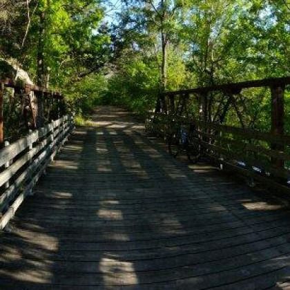 A wooden bridge over a river in the middle of a forest.