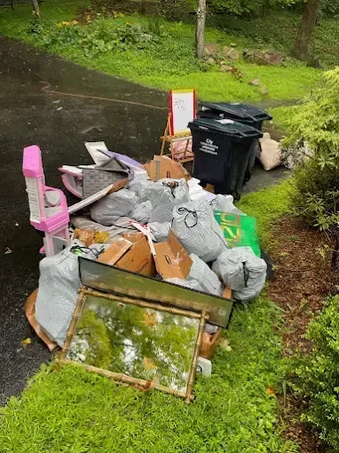 yard estate cleanouts