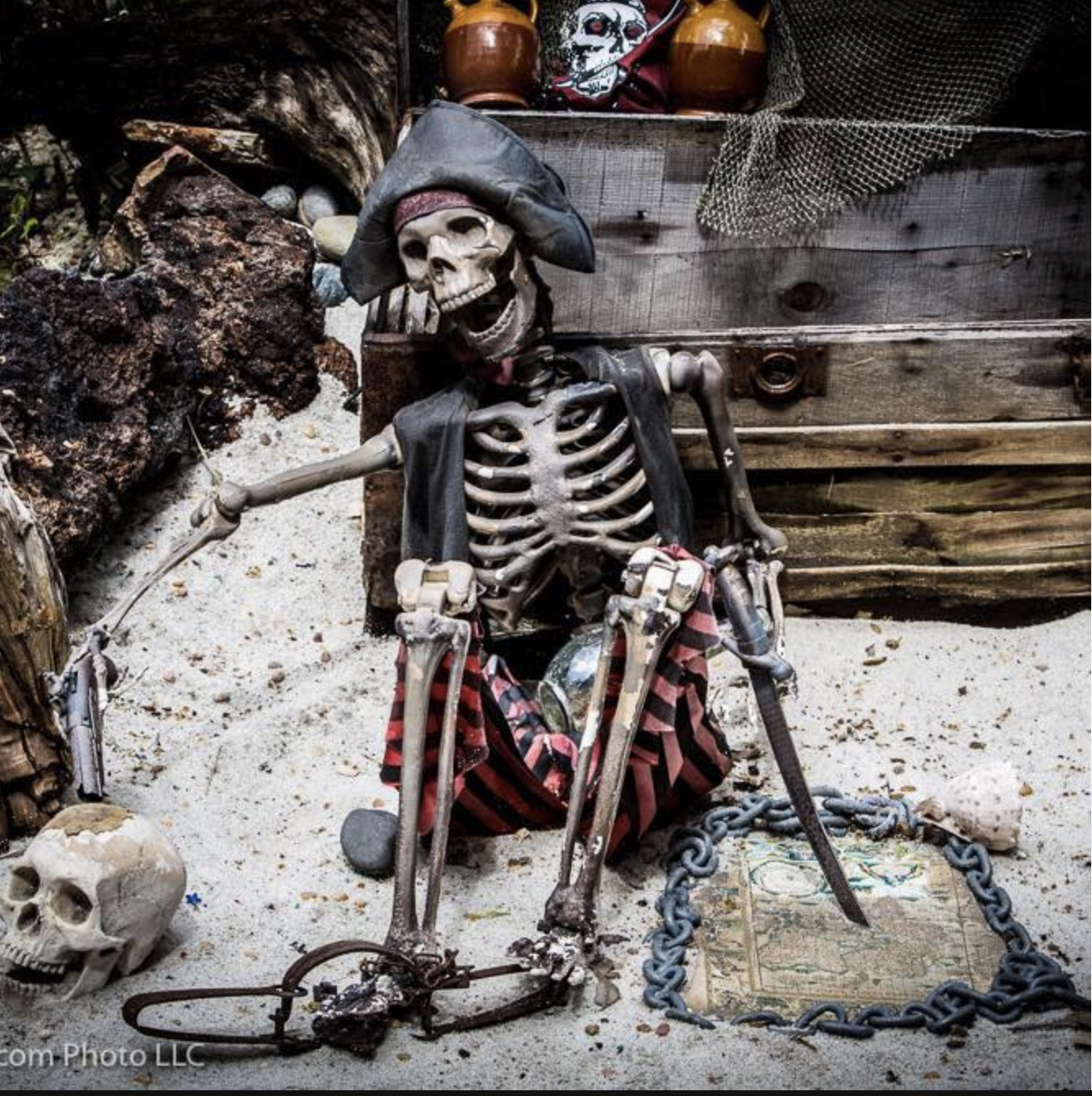 Pirate Skeleton at Morgan's Cove