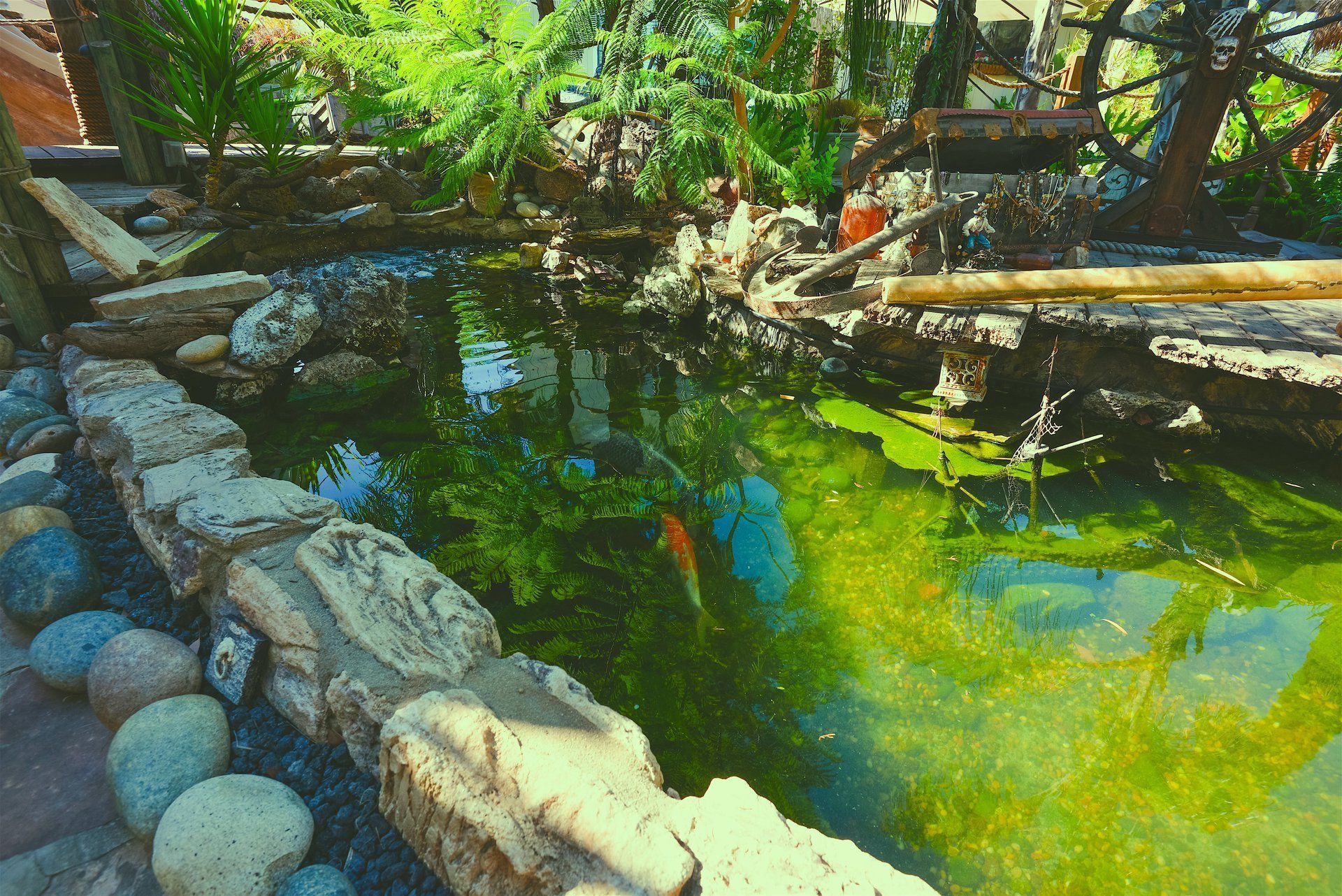 Coi Pond at Morgan's Cove