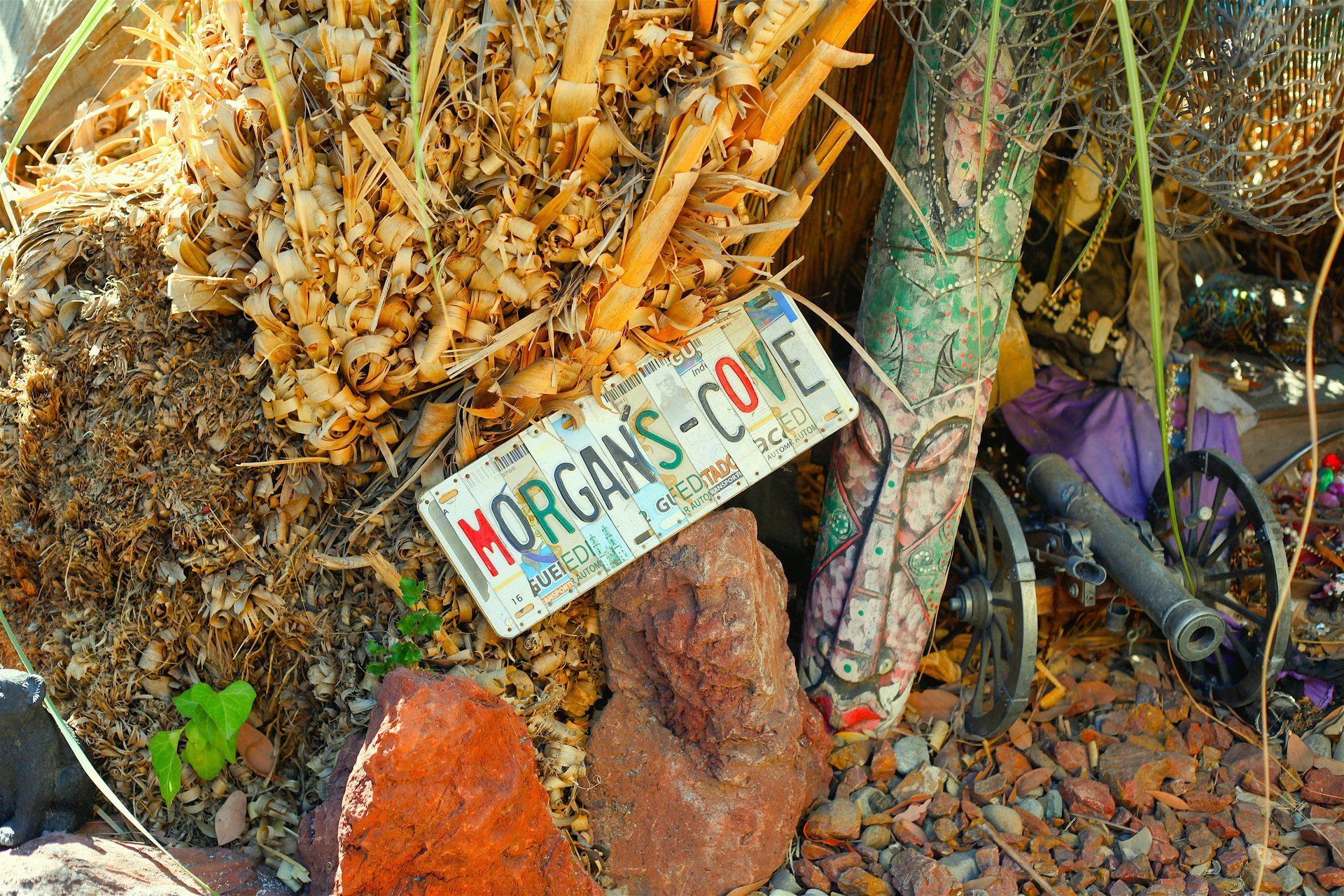 Morgan's Cove license plate