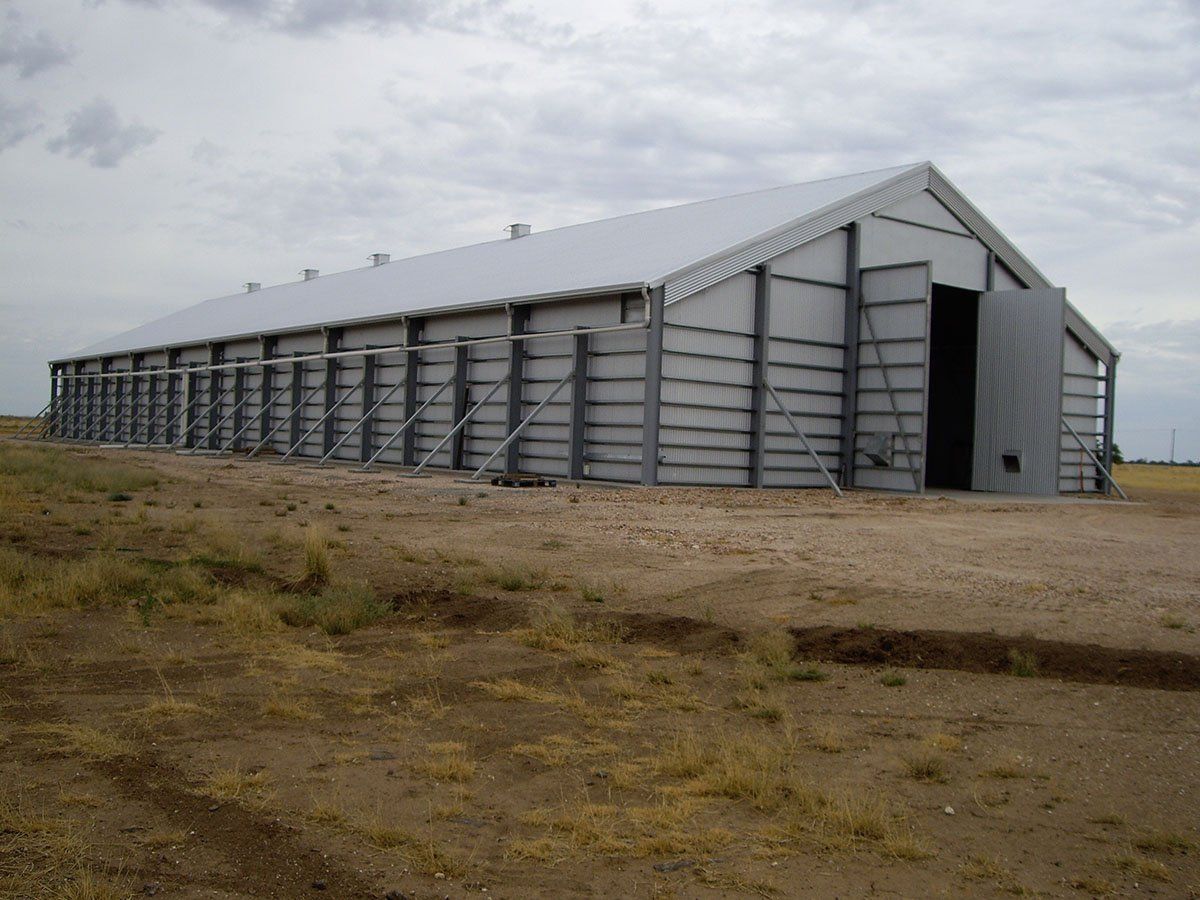 Grain Sheds