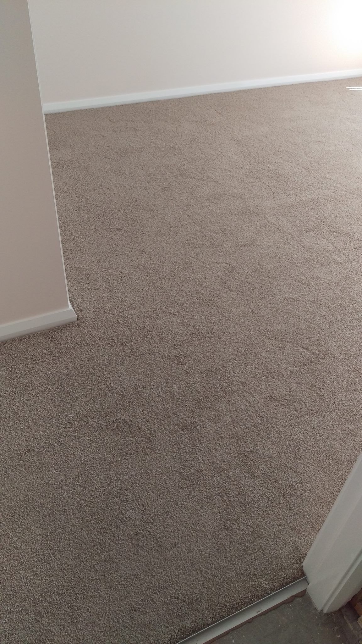 A room with a carpeted floor and a door