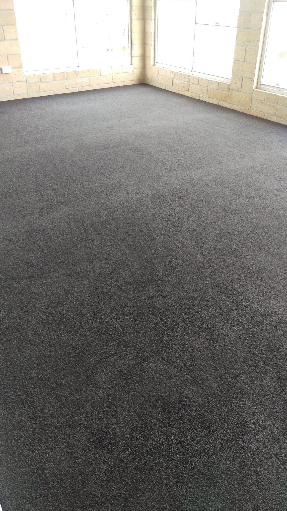 A room with a carpeted floor and a lot of windows