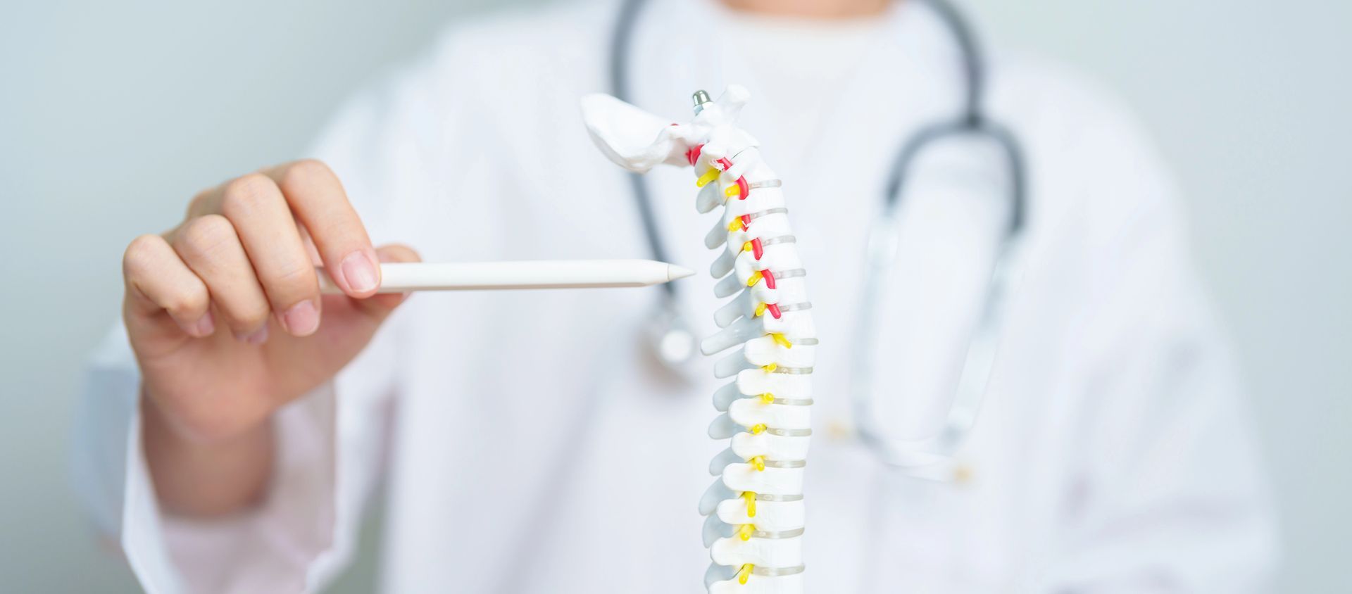 Una persona in camice bianco con uno stetoscopio al collo usa una penna per indicare un modello di colonna vertebrale umana.