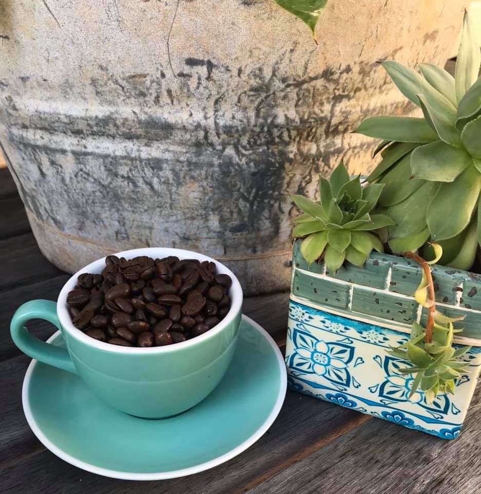 A Cup of Coffee Beans on a Saucer Next to a Potted Plant — Labroco Gourmet Coffee Supplier In Forster, NSW