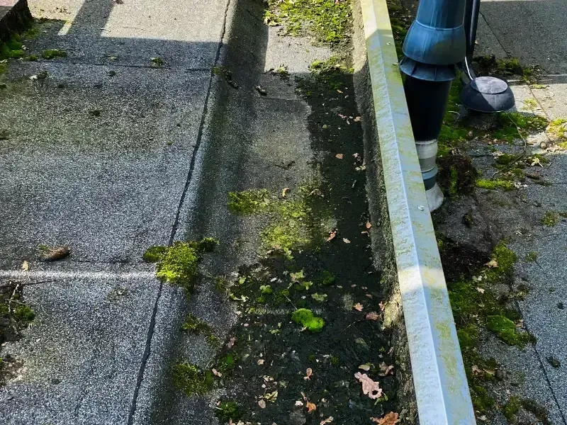 Dakonderhoud op vervuild dak