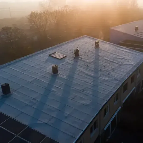 Bitumen dakbedekking Zwolle