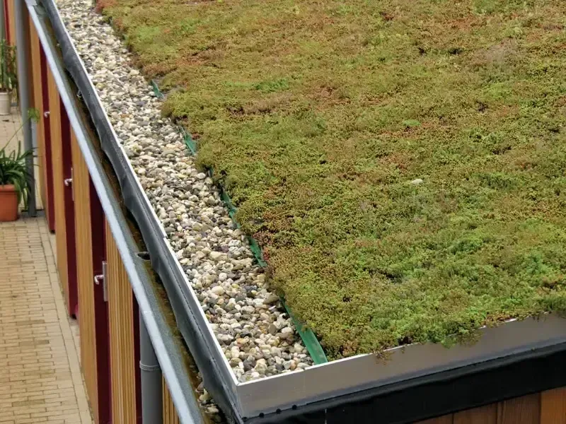 dakinspectie vergroende en sedum daken