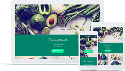 Preview our Nutrition Advisor Website Template
