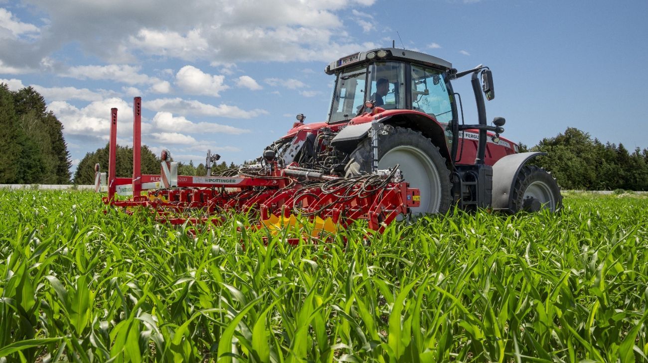 Un tracteur rouge laboure un champ d'herbe verte.