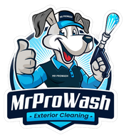 A cartoon dog wearing a blue cap and shirt, giving a thumbs up and holding a pressure washer, with "MR PROWASH" text below.