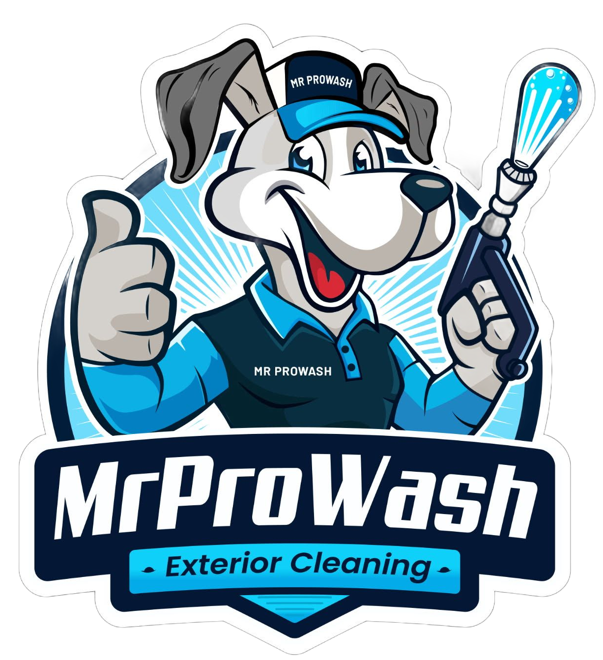 A cartoon dog wearing a blue cap and shirt, giving a thumbs up and holding a pressure washer, with "MR PROWASH" text below.
