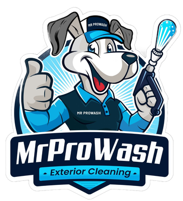 A cartoon dog wearing a blue cap and shirt, giving a thumbs up and holding a pressure washer, with "MR PROWASH" text below.