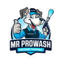 Mr ProWash