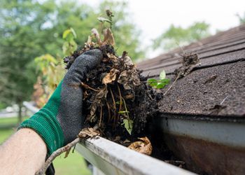 a person is cleaning a gutter from leaves and dirt on a roof .