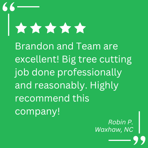 stump grinding services waxhaw nc
