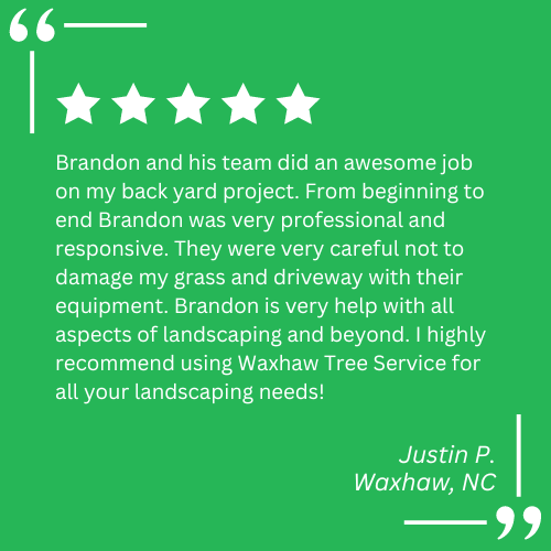 stump grinding services waxhaw nc
