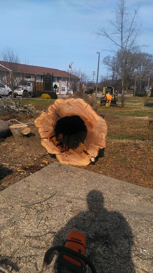 stump removal services near me
