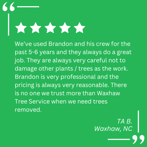 land clearing contractor waxhaw nc
