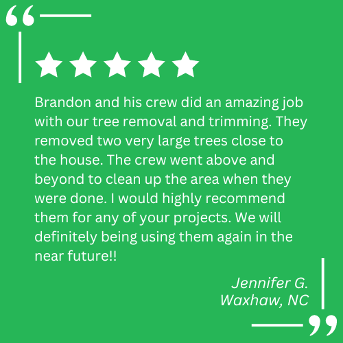 stump grinding services near me
