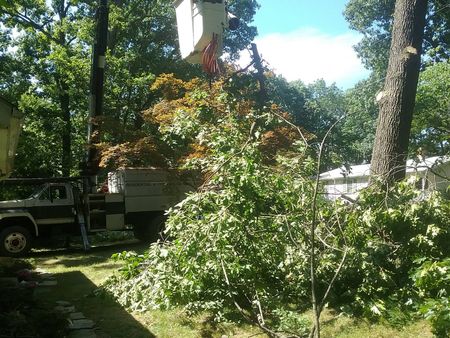 A tree trimming truck is cutting a tree in a yard.