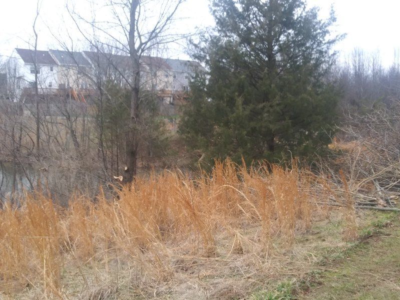 A house is visible in the background of a field of tall grass and trees.
