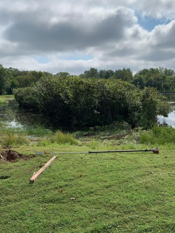 There is a small island in the middle of a grassy field next to a body of water.