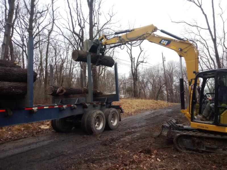 A truck is being loaded with logs by a cat excavator.