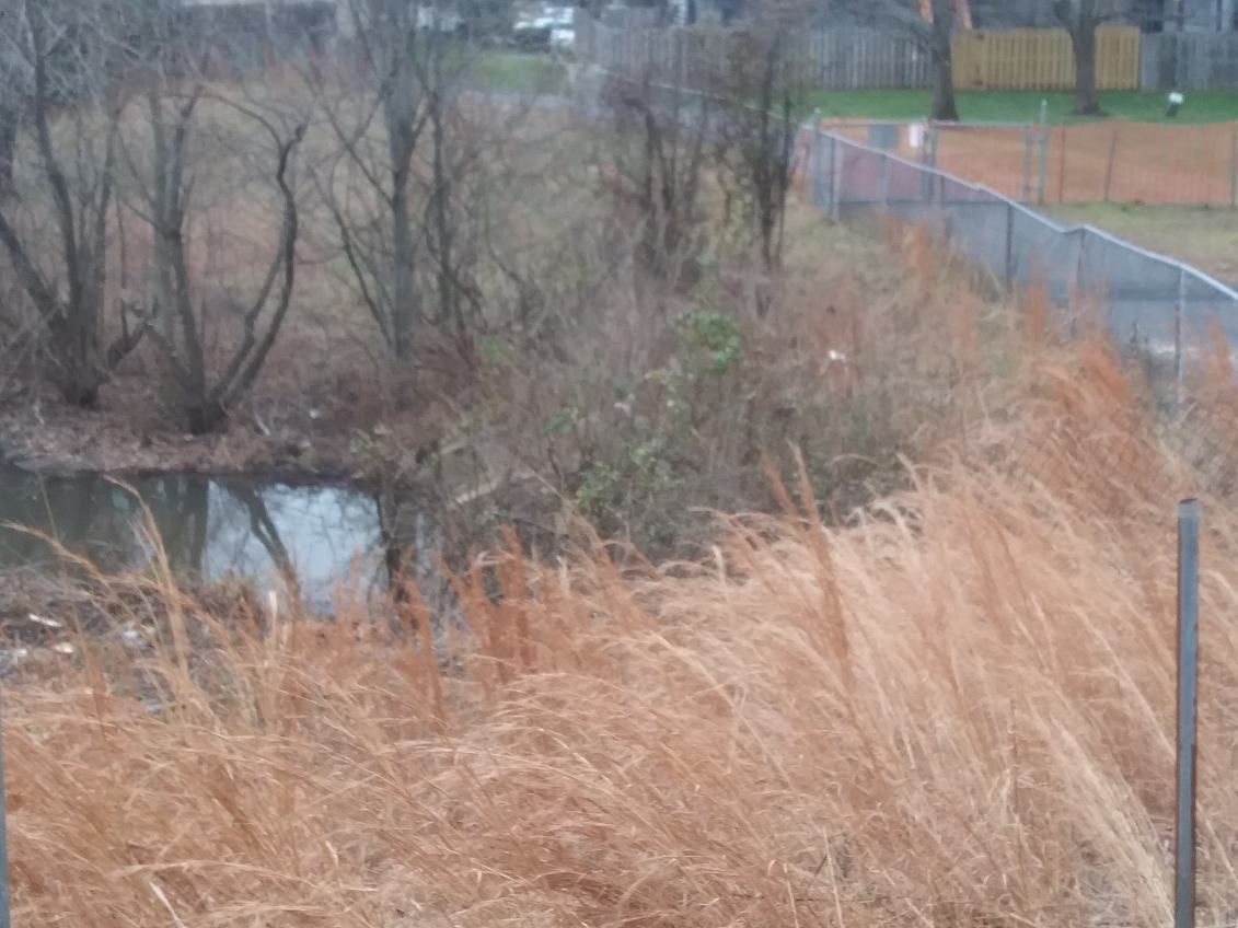 A fence surrounds a small pond surrounded by tall grass and trees.