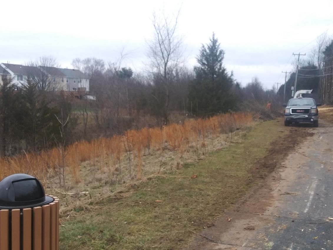 A car is parked on the side of the road next to a trash can.