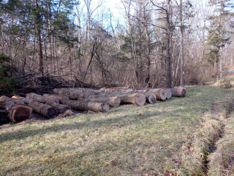 A pile of logs sitting on top of a lush green field.