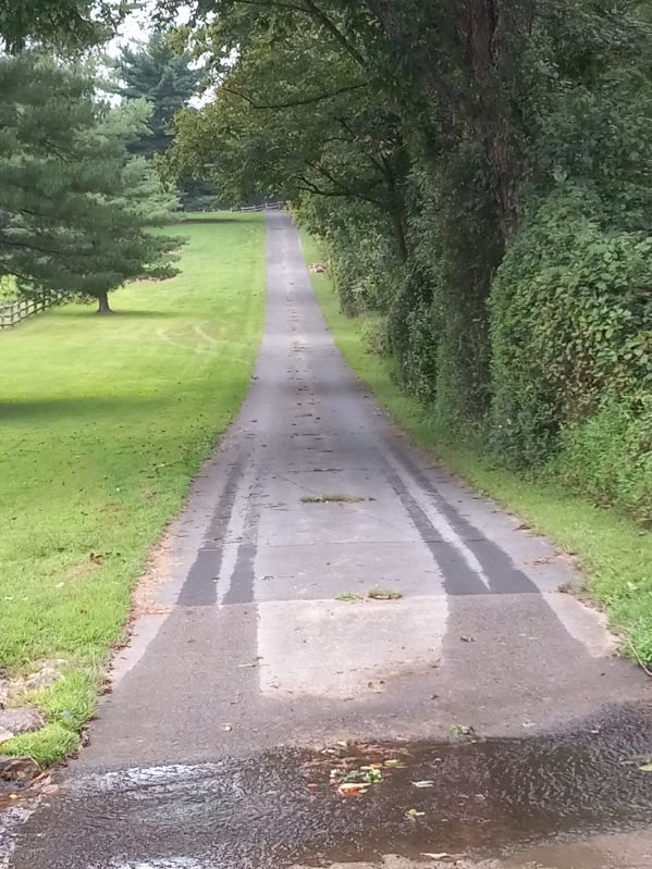 A road going through a park with trees on both sides