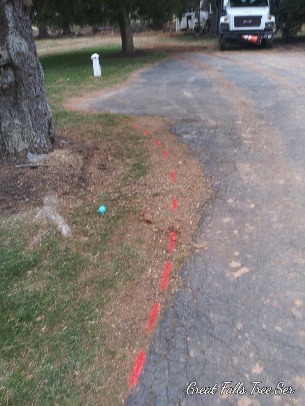 A white truck is parked on the side of the road next to a tree.