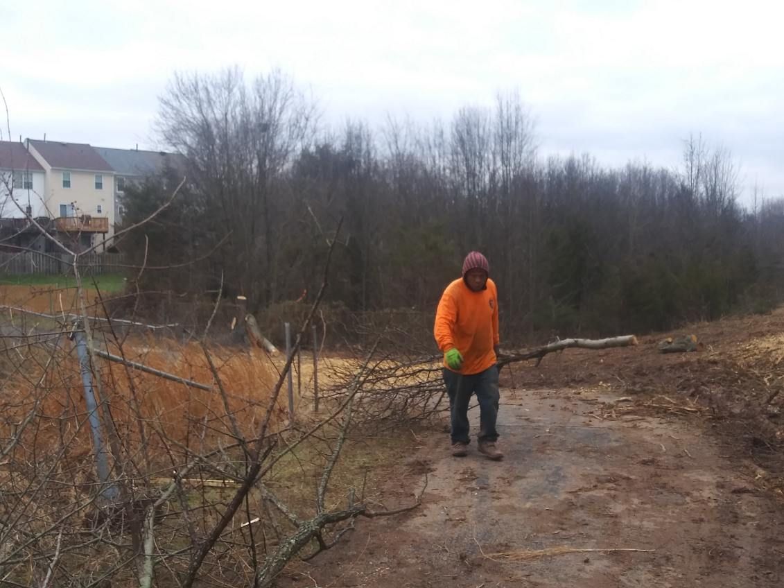 A man is standing on a dirt road holding a tree branch.
