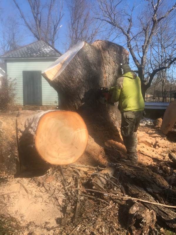 A man is cutting a large tree stump with a chainsaw.