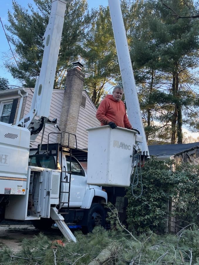 A man is standing in the bucket of a tree trimming truck.