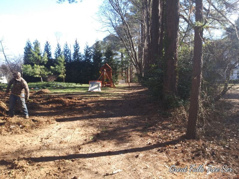 A man standing on a dirt path with trees in the background