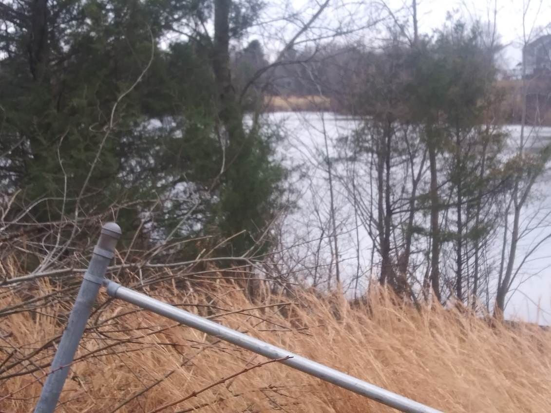 A metal railing leading to a lake with trees in the background