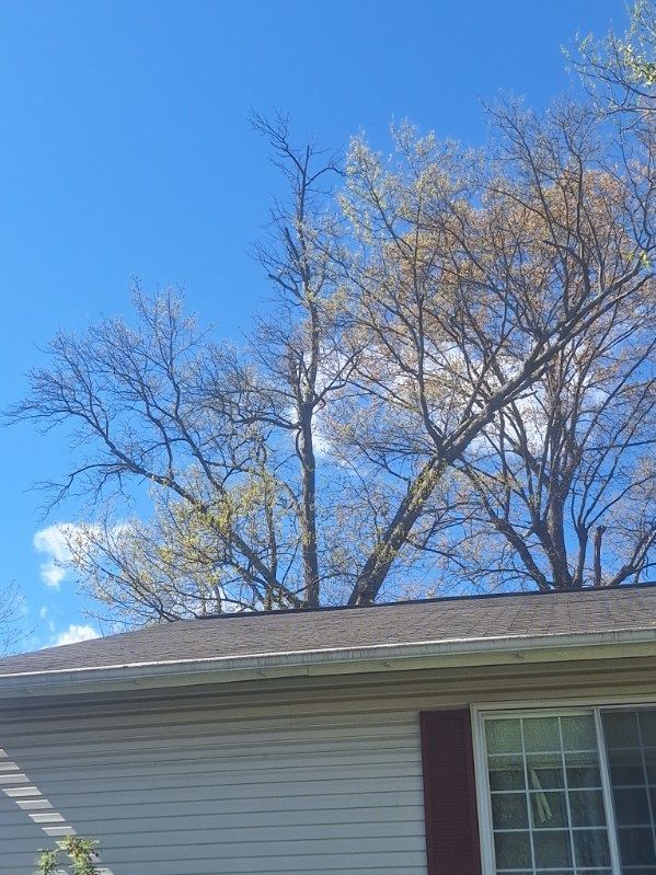 A house with a roof and trees in the background