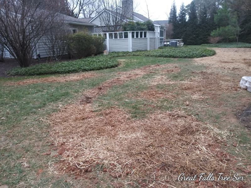 A house with a lot of grass and dirt in front of it.