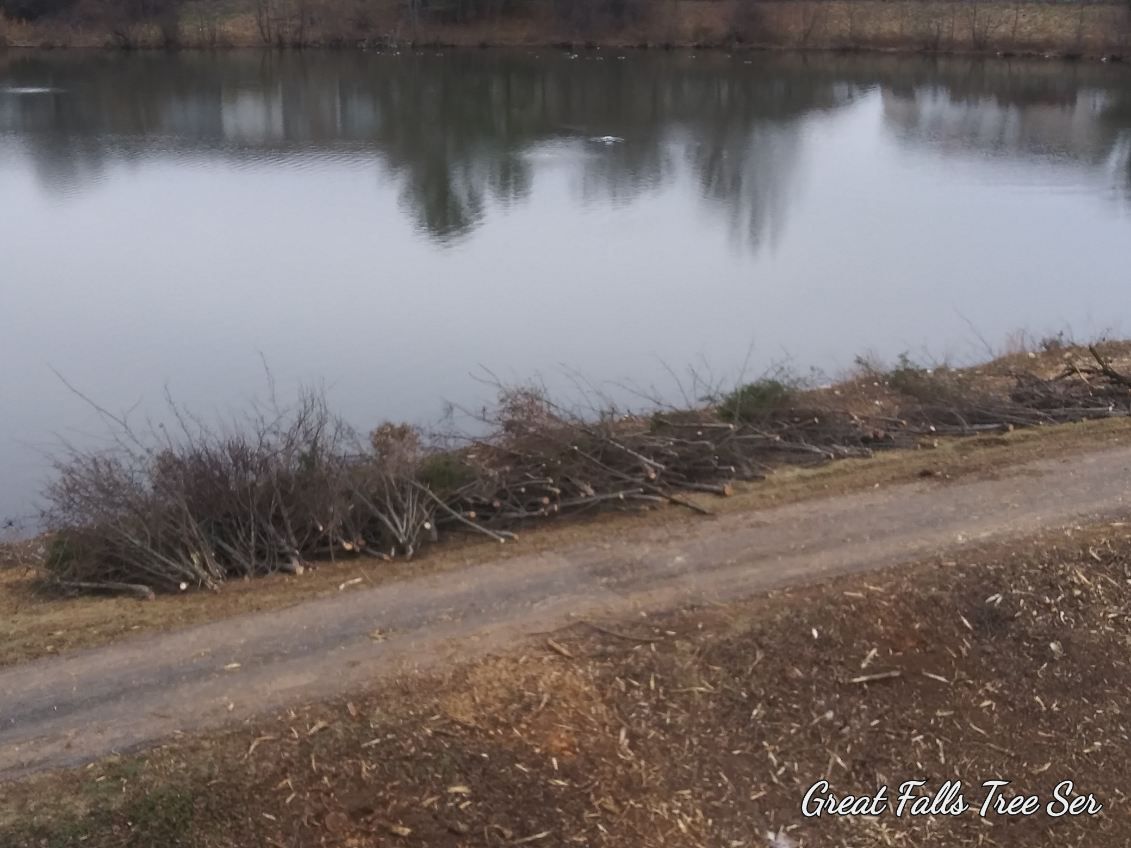 A dirt road leading to a lake with trees reflected in the water.