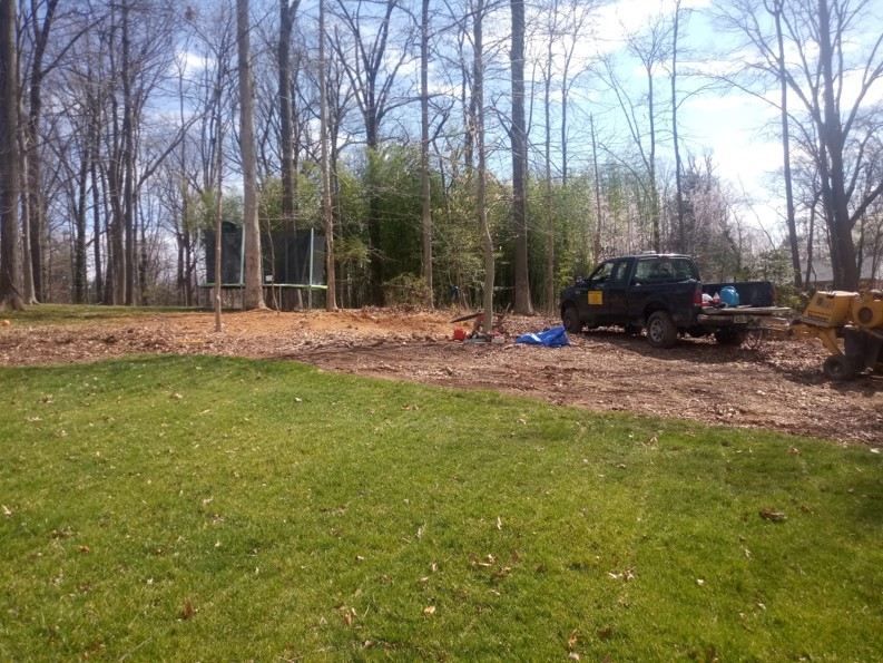A truck is parked in the middle of a lush green field.