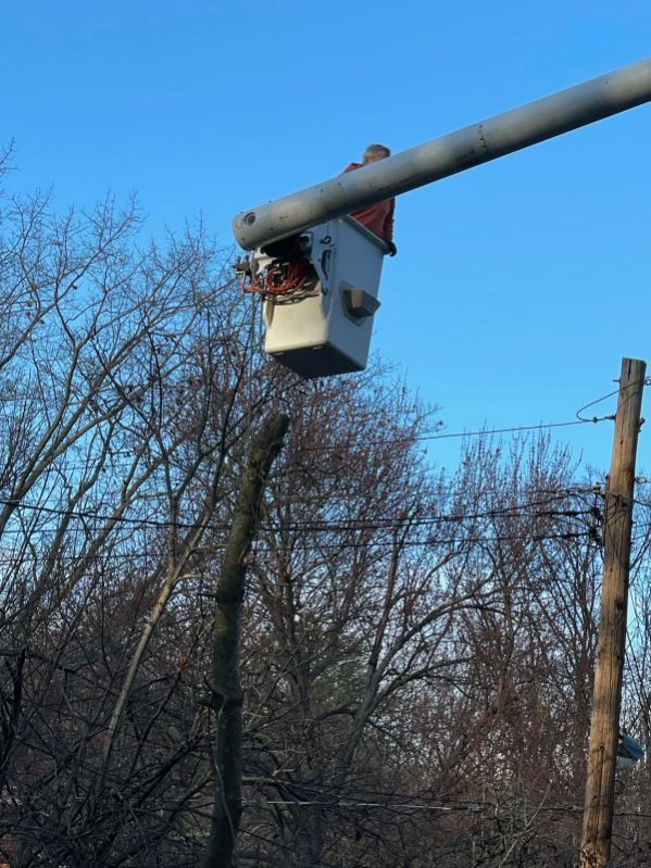 A man in a bucket is working on a pole