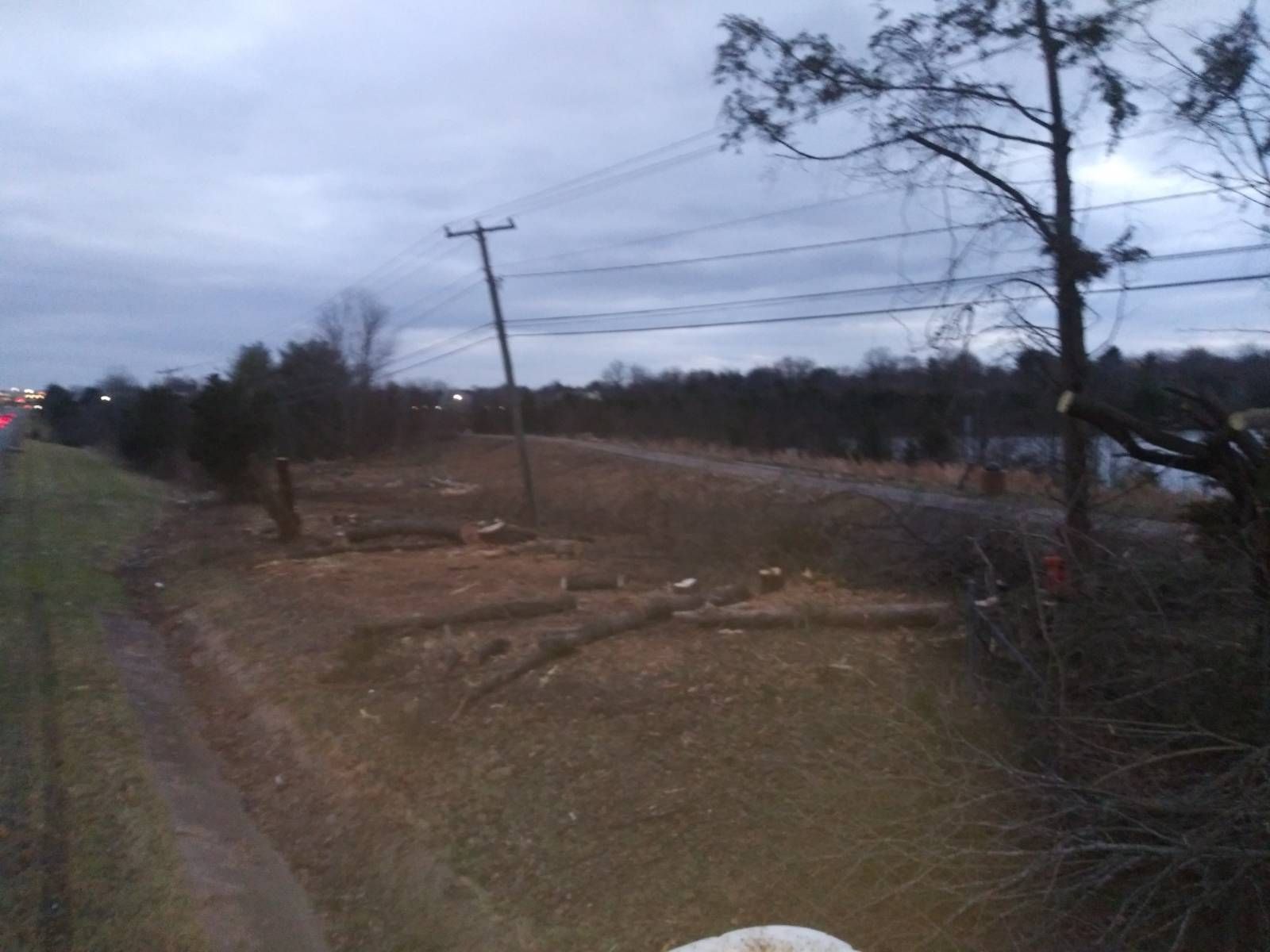 A dog is walking down a dirt road next to a telephone pole.