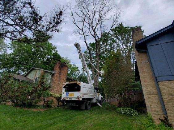 A white truck is cutting a tree in front of a house.