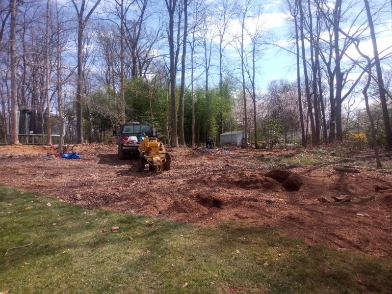 A stump grinder is being used to remove a tree stump in a yard.