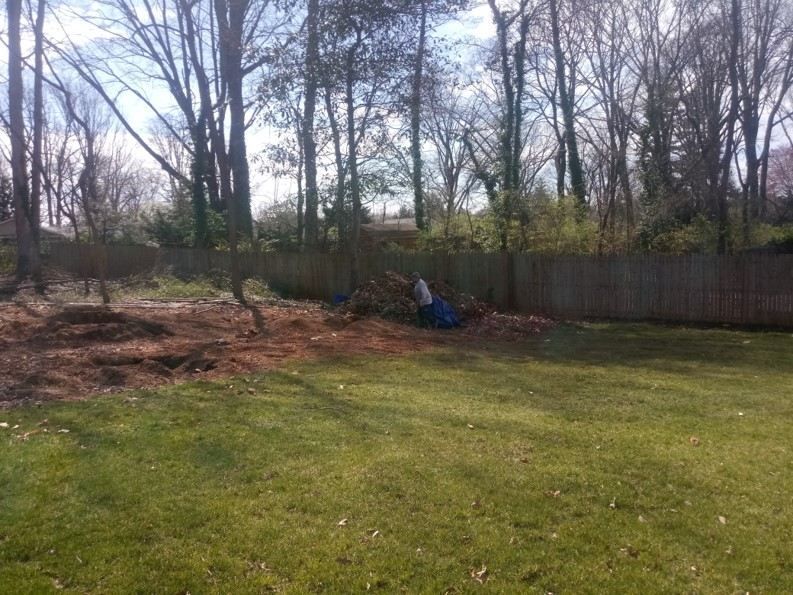 A backyard with a fence and trees in the background.