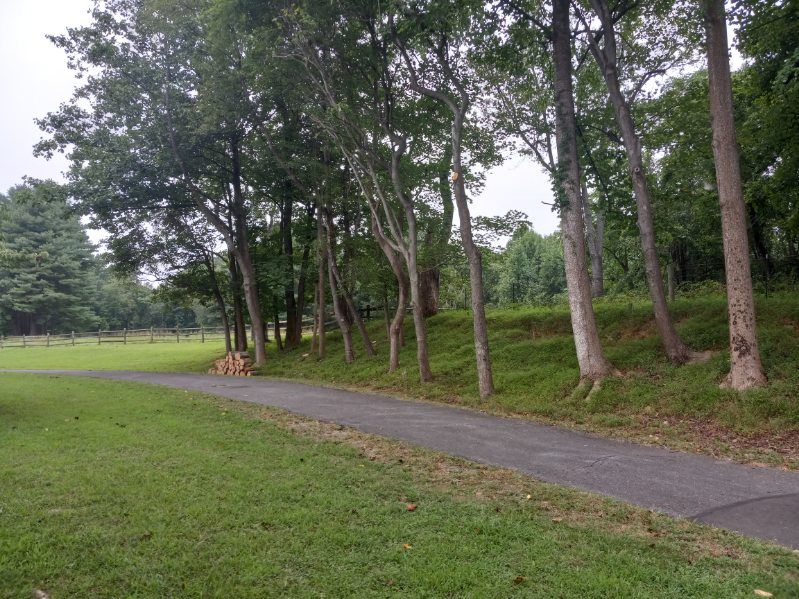 A road going through a park with trees on the side of it.