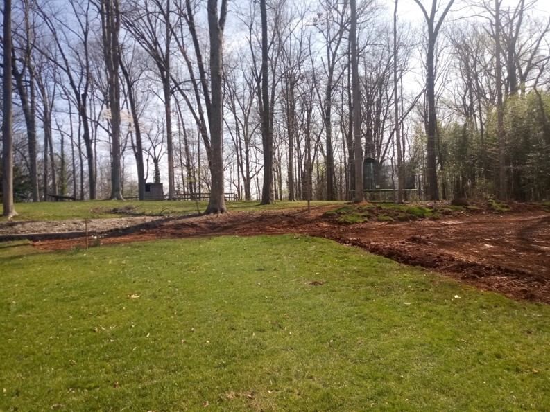 A lush green field with trees in the background and dirt in the foreground.